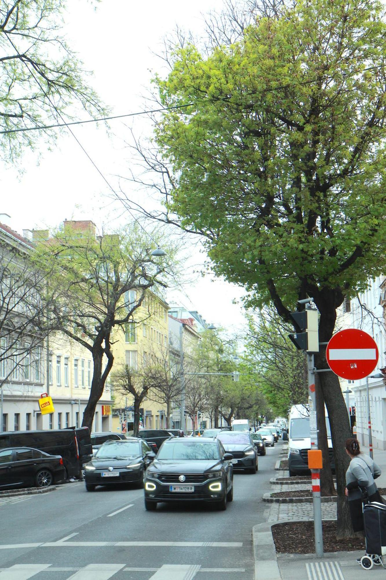 Altbauwohnung Mit Charme - Selbst Check In - Queensize Bett Vienna Luaran gambar